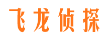 云溪市私家侦探